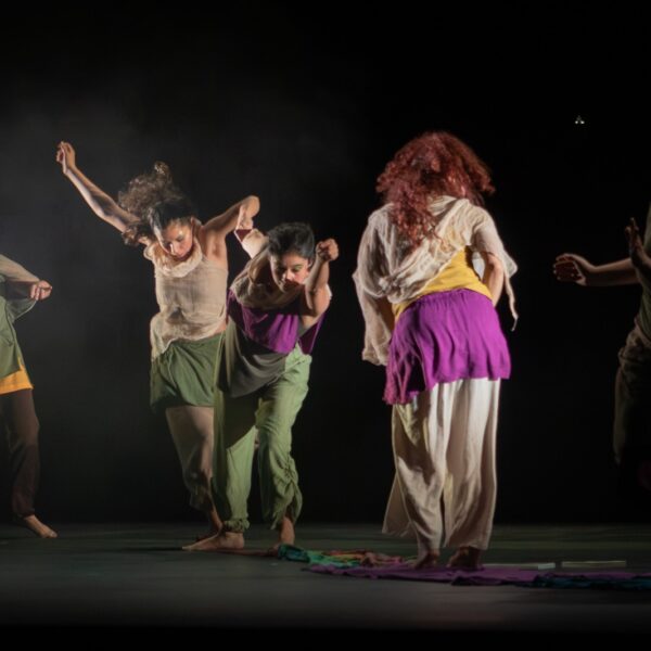 Danza en la Biblioteca: Un Encuentro Cultural Único en Limache